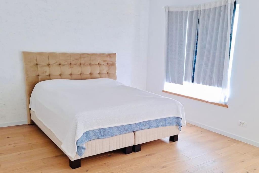 Villa Pineview Lempes Brașov Exterior foto